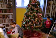 Weekly Vlog 1: Enfin le sapin!